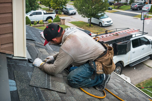 Professional Gutter Repair And Installation technician working in Evanston, IN